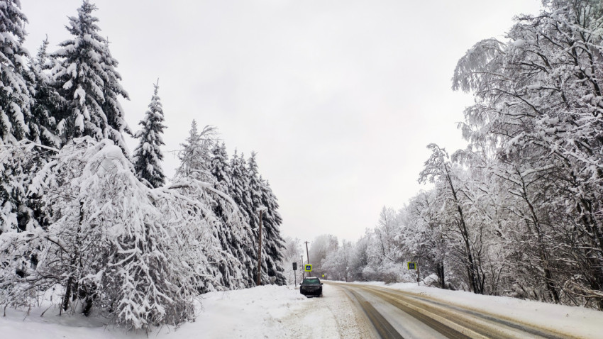 Загородная трасса с припаркованным автомобилем у кромки леса