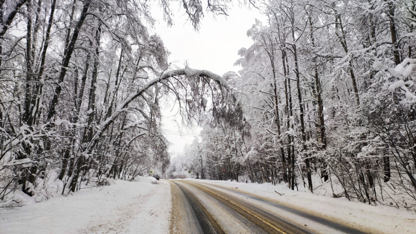 Зимняя загородная дорога с изогнутым снежным деревом над проезжей частью