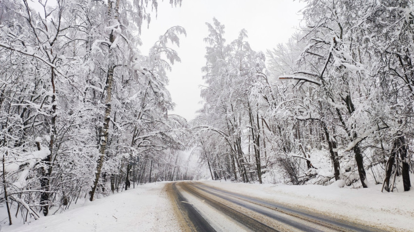 Зимняя дорога в лесу с дугообразными кронами над трассой