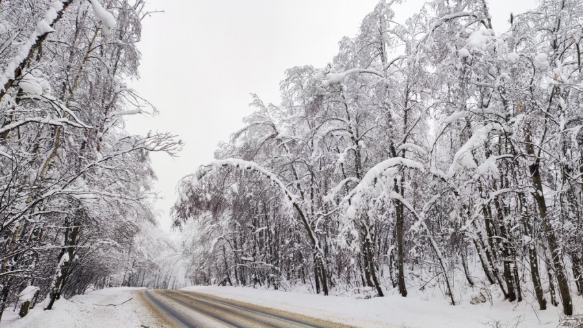 Загородная трасса с дугообразно изогнутыми заснеженными ветвями