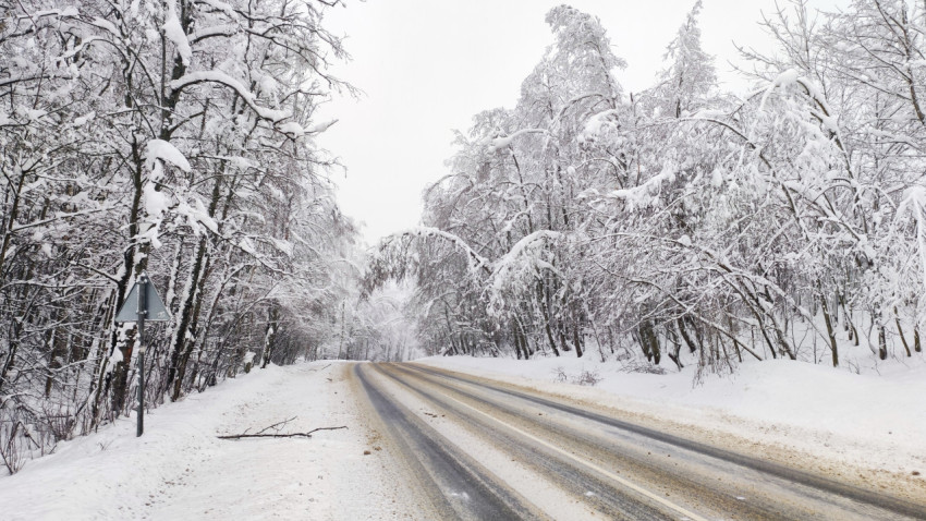 Лесная зимняя дорога с обрывками ветвей и дорожным знаком