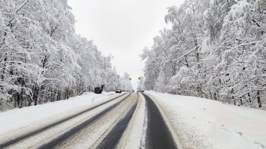Зимняя дорога с пешеходным переходом в лесной зоне