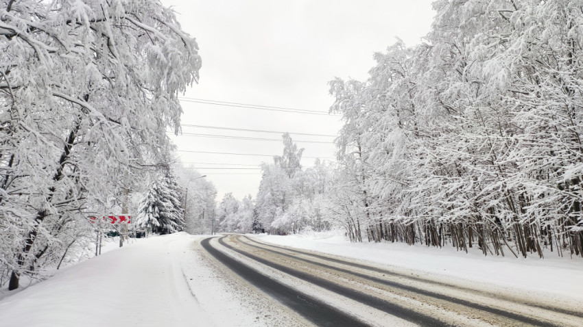 Загородная дорога в зимнем лесу с дорожными указателями