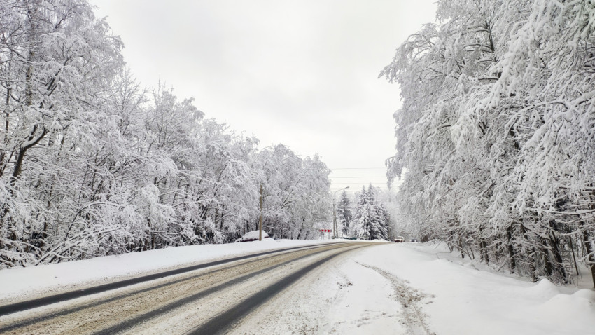 Зимняя трасса в пригороде, окружённая заснеженными деревьями