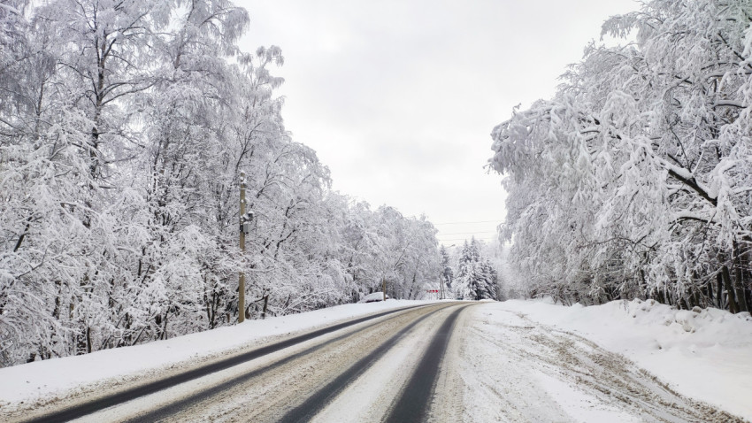 Лесная зимняя дорога с опорой вдоль обочины