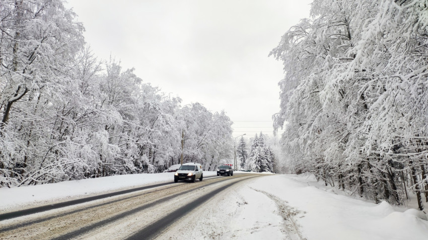 Автомобили на зимней трассе среди заснеженных деревьев