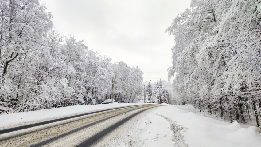 Заснежённая загородная дорога в лесу