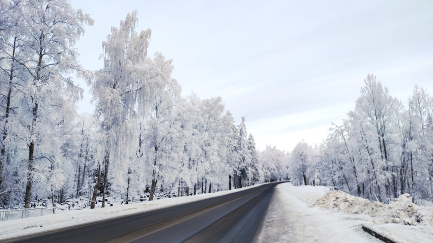 Зимняя дорога среди заснеженного леса