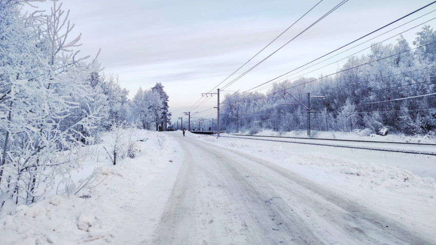 Зимняя платформа и лесополоса у железнодорожной линии