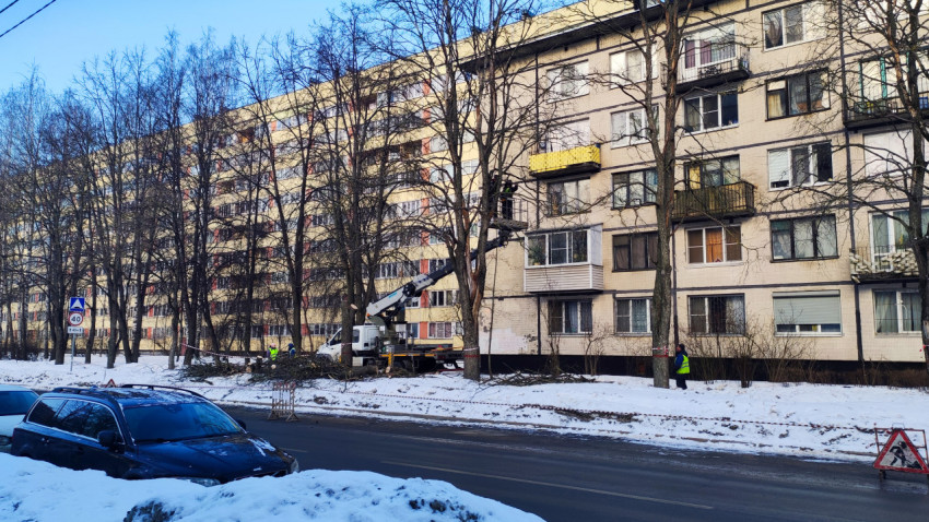 Панельный жилой дом и обрезка деревьев коммунальными службами