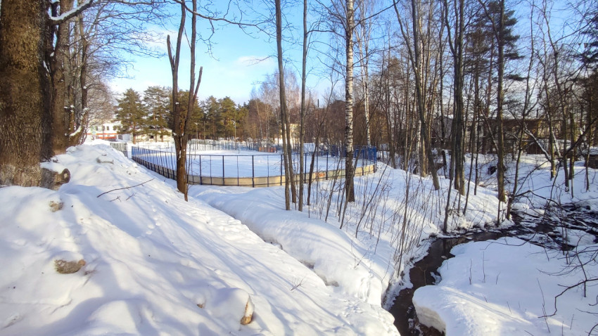 Лесополоса и огражденная хоккейная коробка рядом с ручьем