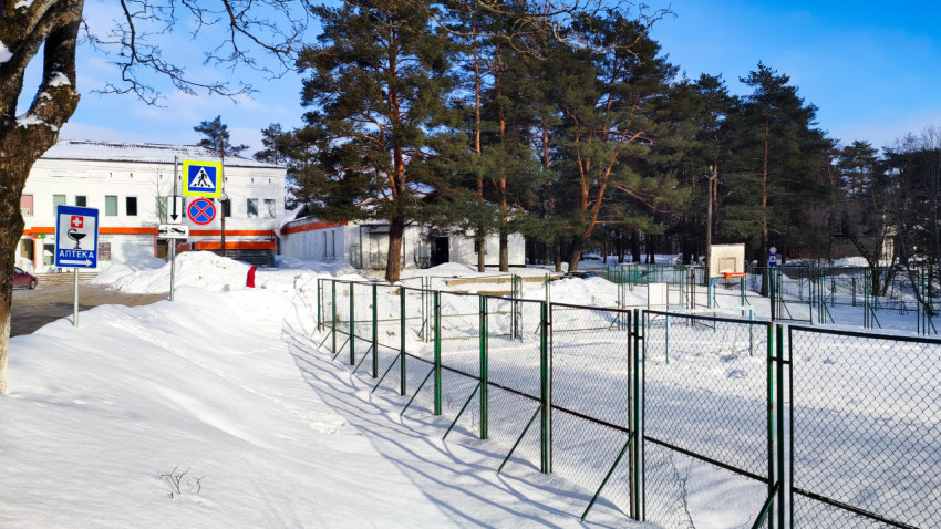 Зимняя улица с аптекой и пешеходным переходом