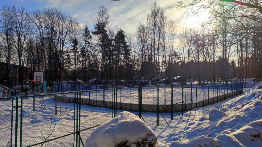 Спортивная площадка с баскетбольным щитом на фоне леса