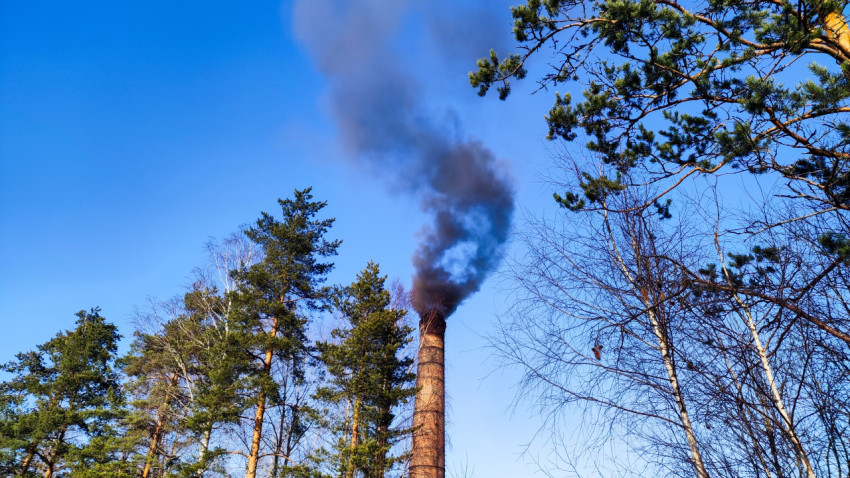 Дым из промышленной трубы среди деревьев