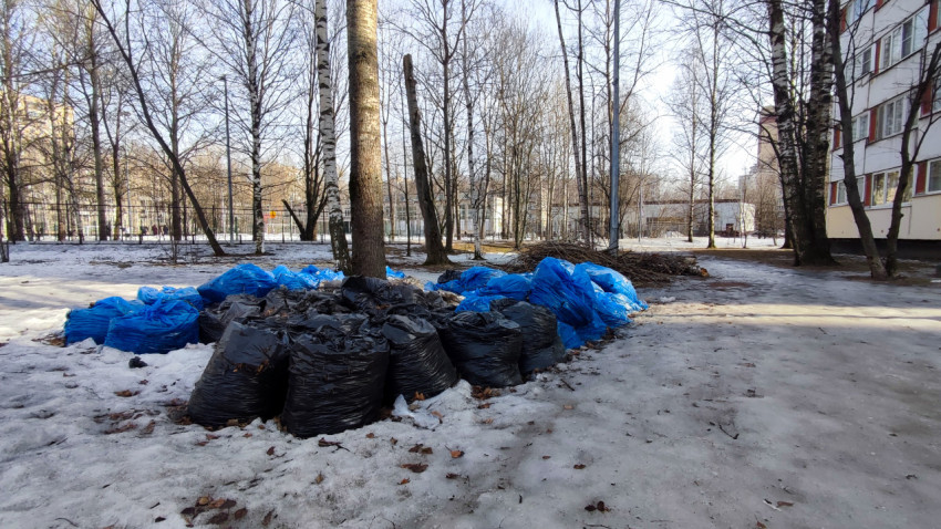 Мешки с мусором и ветками в зимнем городском дворе