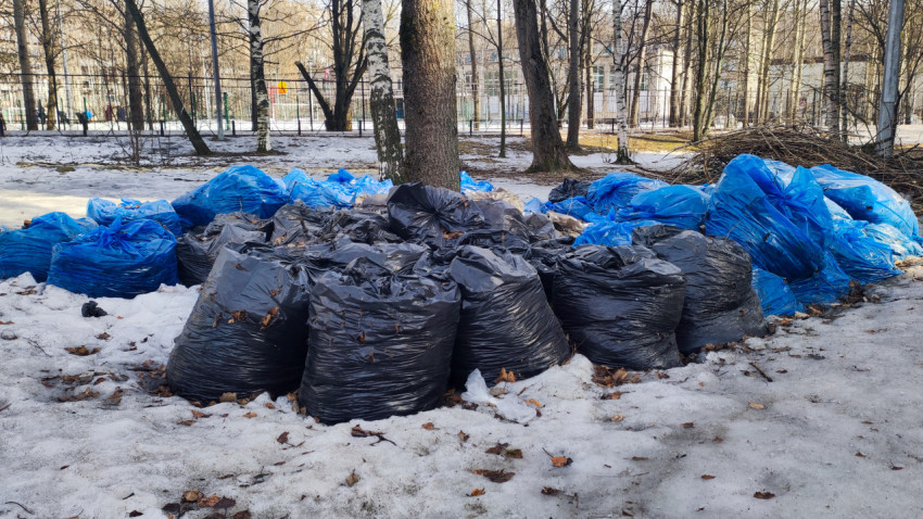 Весенняя уборка мусора в городском дворе с деревьями