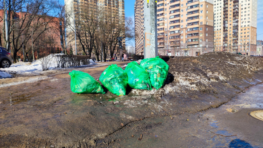Пакеты с бытовыми отходами на обочине в жилом квартале