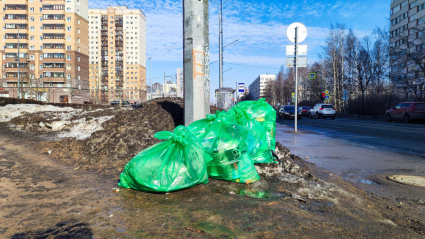 Зеленые мешки с отходами на дорожной обочине