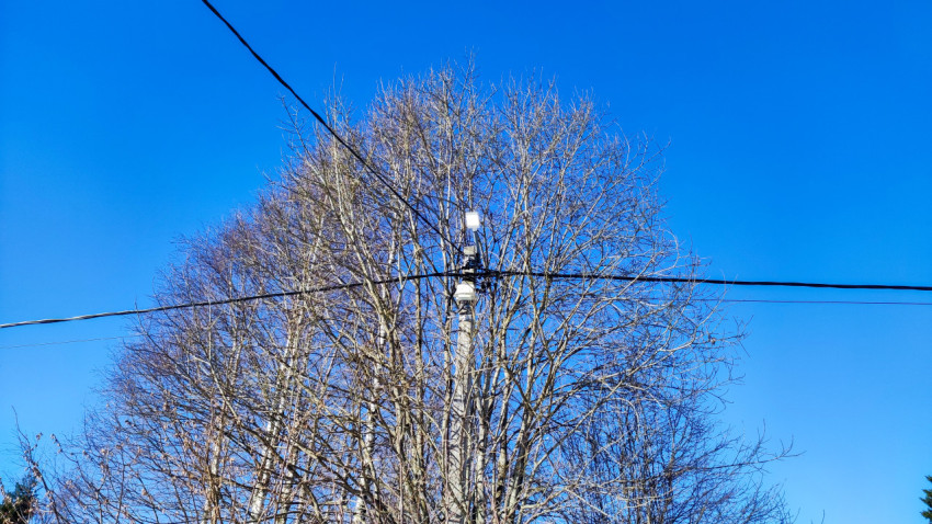 Электрическая опора с уличным освещением среди деревьев