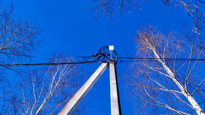 Электроопора и провода среди зимних деревьев
