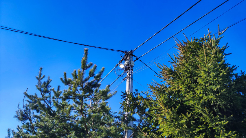 Электрическая опора среди хвойных деревьев