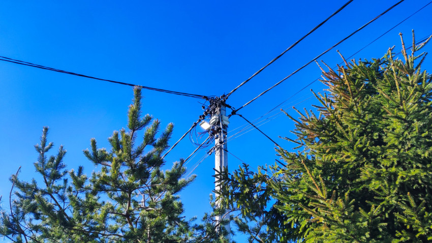 Развилка проводов на бетонной опоре среди елей