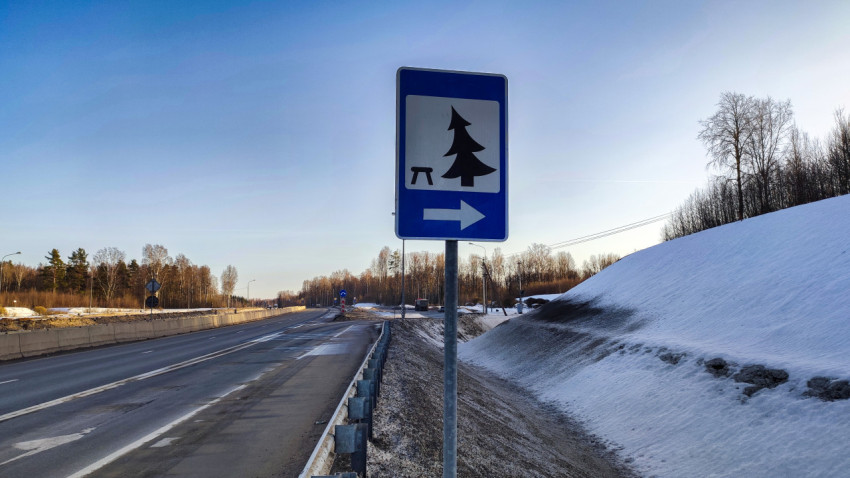 Указатель зоны отдыха у трассы в зимнем пейзаже