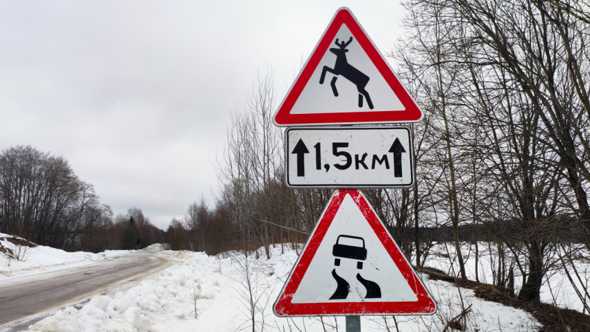 Предупреждающие знаки о животных и скользкой дороге на зимней трассе