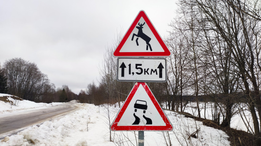 Дорожные предупреждения о животных и скользкой поверхности