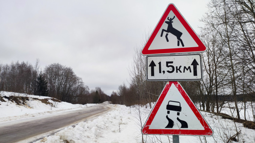 Предупреждающие знаки о диких животных и скользкой дороге в зимний период