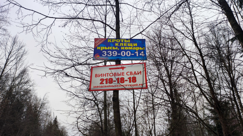 Рекламные щиты на деревьях у зимней дороги в России