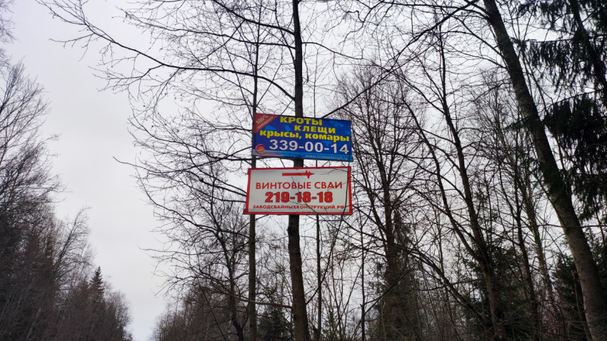 Рекламные объявления на деревьях вдоль зимней дороги