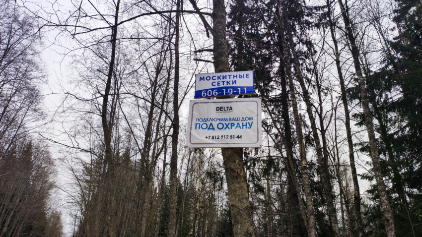 Рекламные таблички на дереве в зимнем лесу