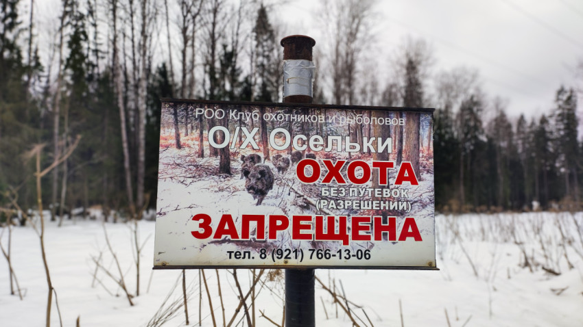 Знак «Охота без разрешения запрещена» в лесной зоне