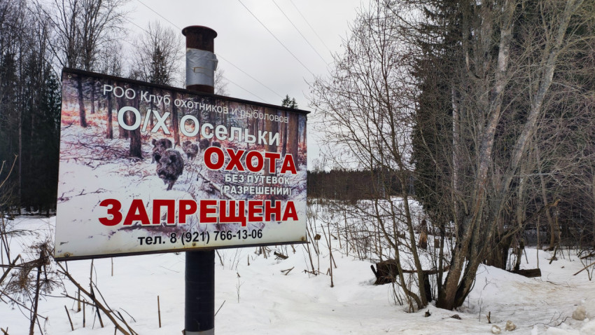 Предупреждающий знак об охоте в заснеженном лесу
