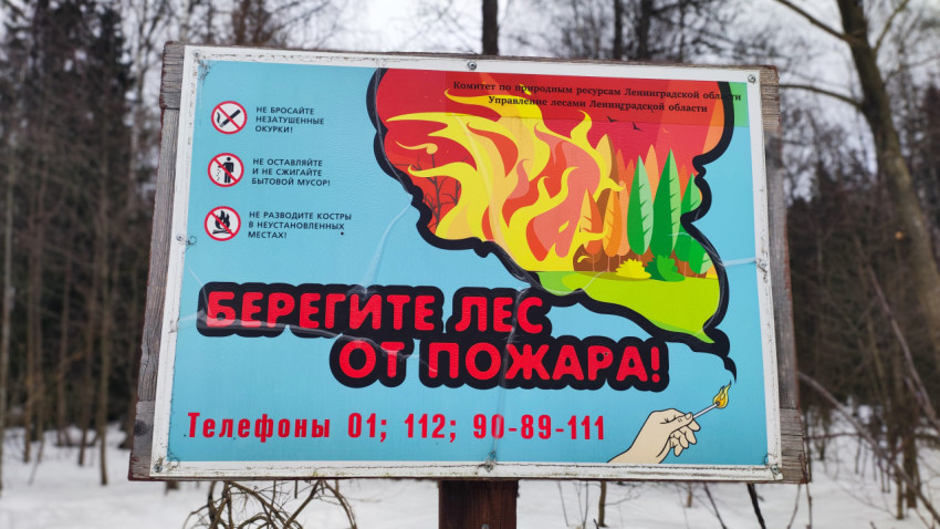 Плакат о защите леса от пожара в зимнем лесу