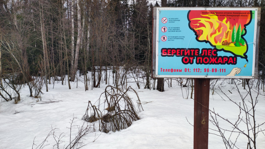 Плакат «Берегите лес от пожара!» в зимнем лесу