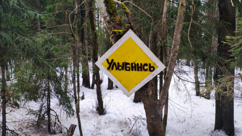 Самодельный знак «Улыбнись» на стволе дерева в заснеженном хвойном лесу