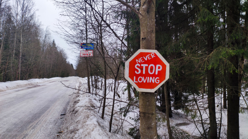Знак «Never Stop Loving» на дереве у лесной дороги