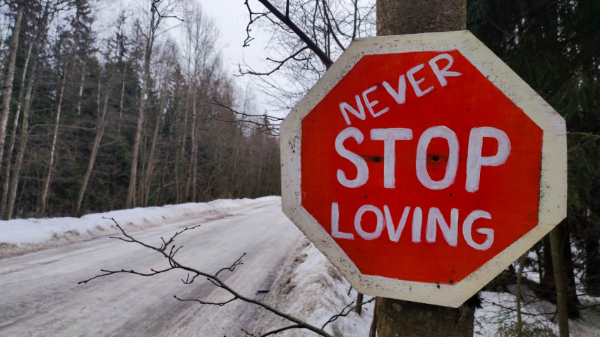 Знак «Never Stop Loving» на фоне зимнего леса