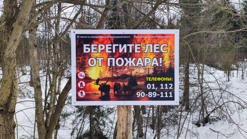 Информационный плакат о пожарной безопасности в зимнем лесу