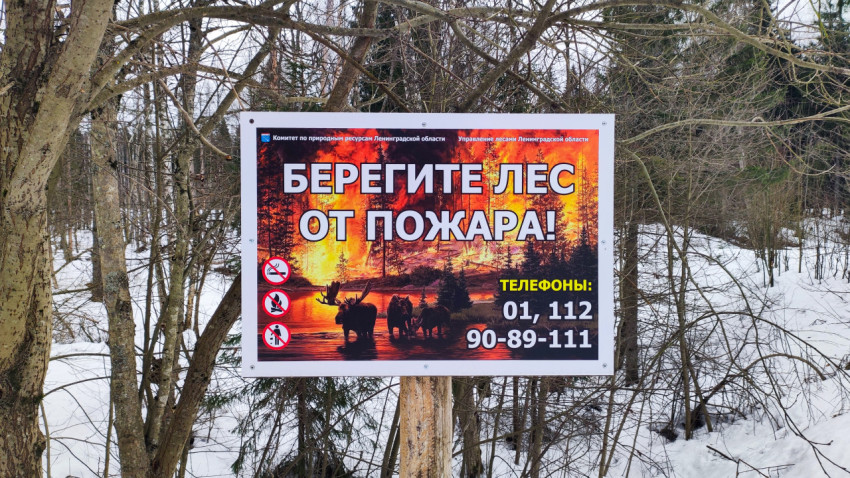 Предупреждающий щит «Берегите лес от пожара» в Ленинградской области