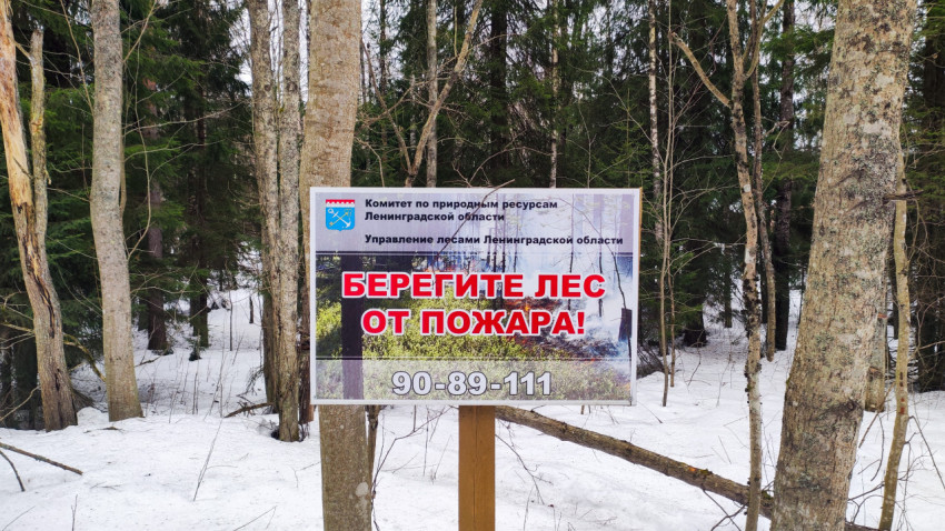 Информационный щит о пожарной безопасности в лесу