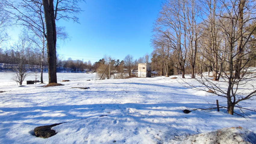 Зимний пейзаж с деревьями и замерзшим водоемом