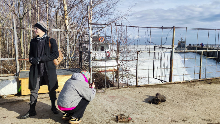 Люди фотографируют кошку у ограды на набережной