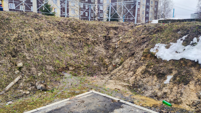 Кошка у обочины под откосом рядом с хоккейной площадкой