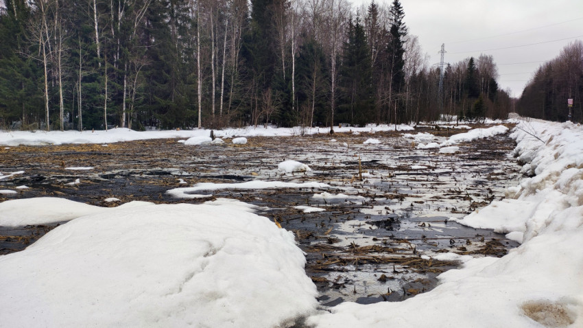 Талый ручей вдоль заснеженной просеки леса