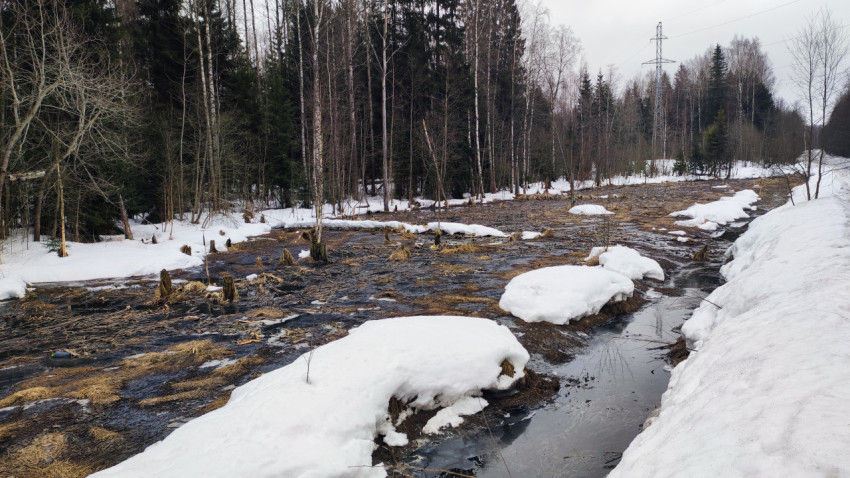 Весенний ручей в просеке под линией электропередачи