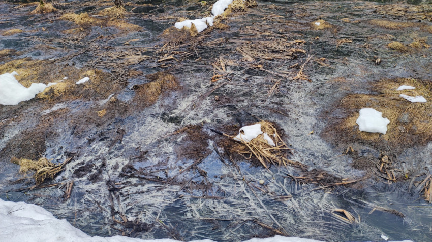 Подтаявший грунт и ледяная корка талого болота