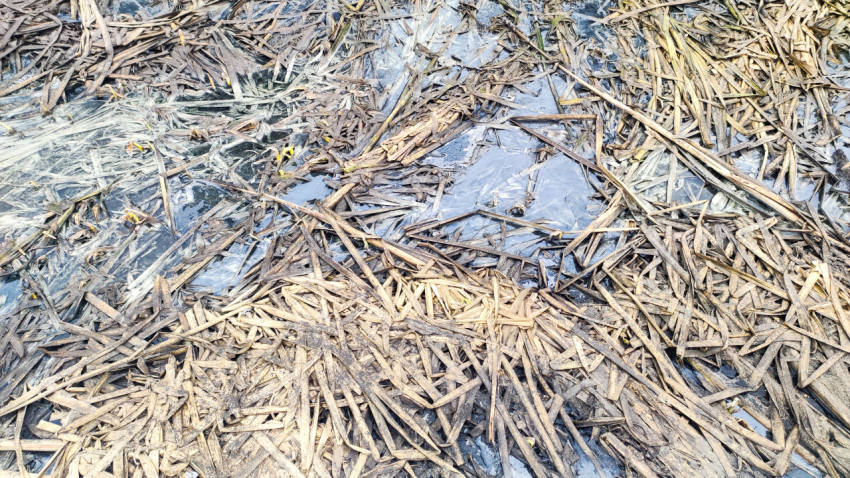 Весенние талыe воды и лёд на болотистой почве